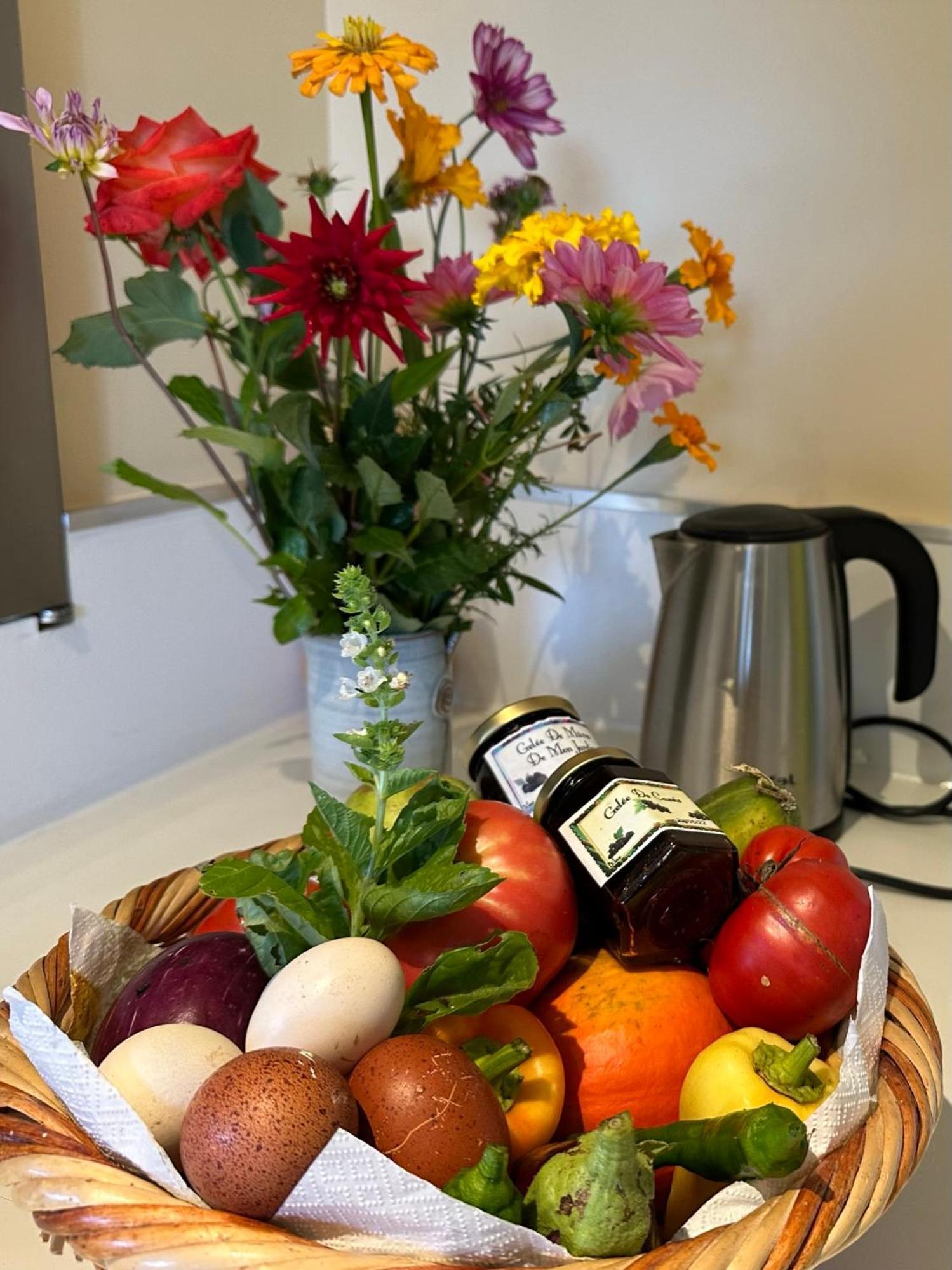 Le Cocon Salies-du-Salat